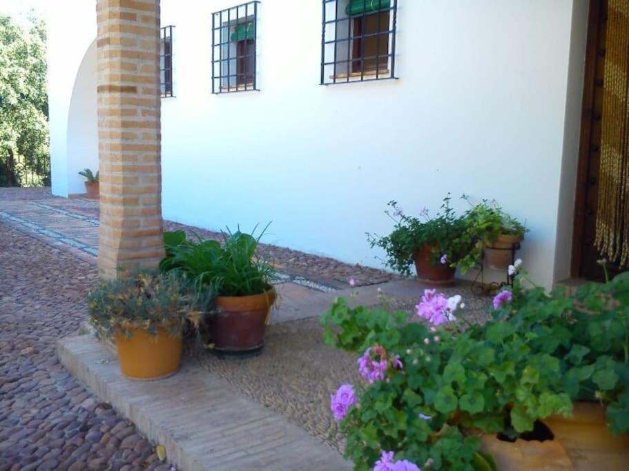 Carmen Magnificent In Serrania Holiday home